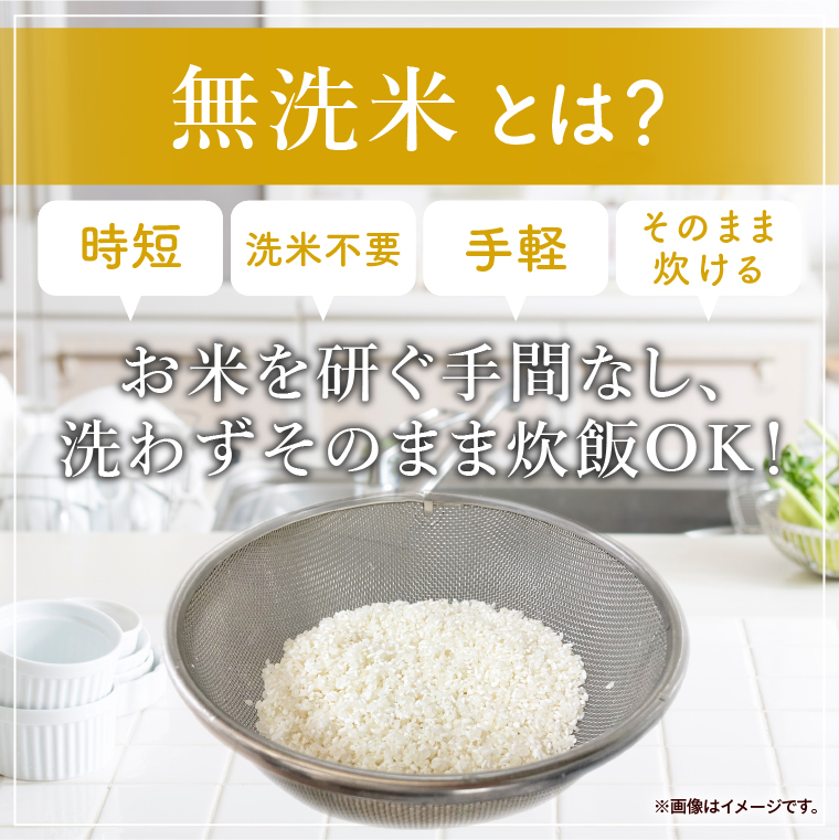 令和7年産 茨城県産 無洗米コシヒカリ5kg【お米 米 コメ こめ こしひかり 無洗米 北茨城市 茨城県】(AL256)