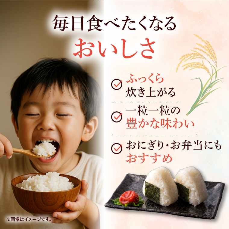 令和7年産 茨城県産 無洗米コシヒカリ5kg【お米 米 コメ こめ こしひかり 無洗米 北茨城市 茨城県】(AL256)