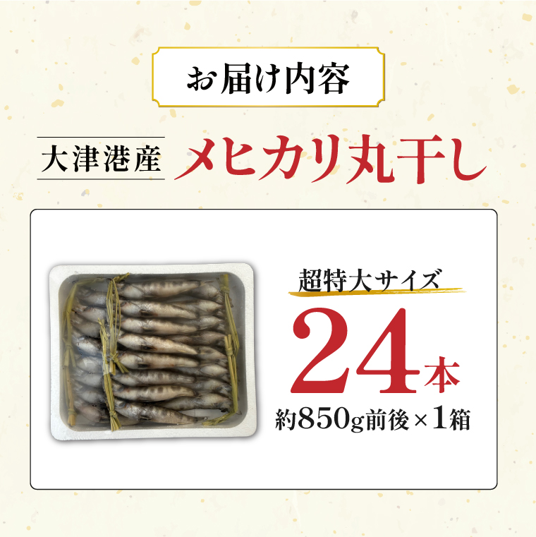 丸干し超特大めひかり 24本（約850ｇ前後 ）【めひかり メヒカリ 特大サイズ 魚 海産物 茨城県 北茨城市 冷凍】（DM001）