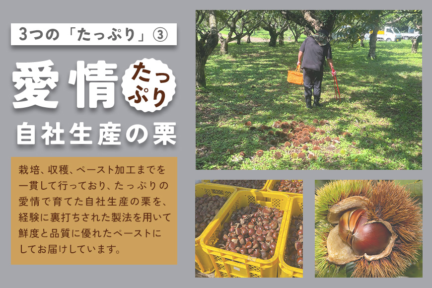 モンブラン 2個 栗のモンブラン 栗 くり クリ 和栗 マロン 冷凍 スイーツ 栗ペースト お菓子 洋菓子 デザート ケーキ お取り寄せ ギフト プレゼント 和栗モンブラン 和栗のモンブラン カサマロンカフェ 笠間 茨城 いばらき