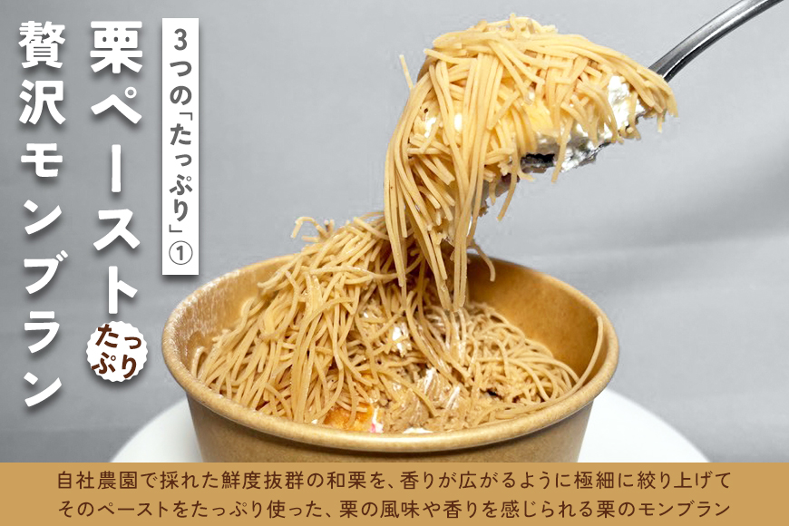 モンブラン 2個 栗のモンブラン 栗 くり クリ 和栗 マロン 冷凍 スイーツ 栗ペースト お菓子 洋菓子 デザート ケーキ お取り寄せ ギフト プレゼント 和栗モンブラン 和栗のモンブラン カサマロンカフェ 笠間 茨城 いばらき