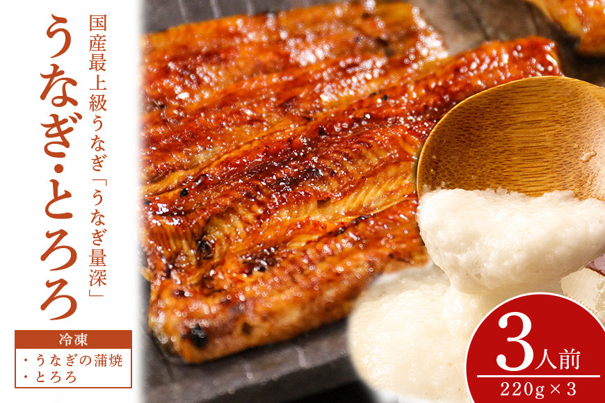 うなとろ 3人前セット 土用の丑の日 ウナギ うなとろ おすすめ 蒲焼き 蒲焼 国産 解凍 冷凍 加工品 土用 丑の日 お歳暮 お中元 お祝い 笠間市 茨城県 とろろ 老舗 贈答 贈り物 真空パック FJ-011