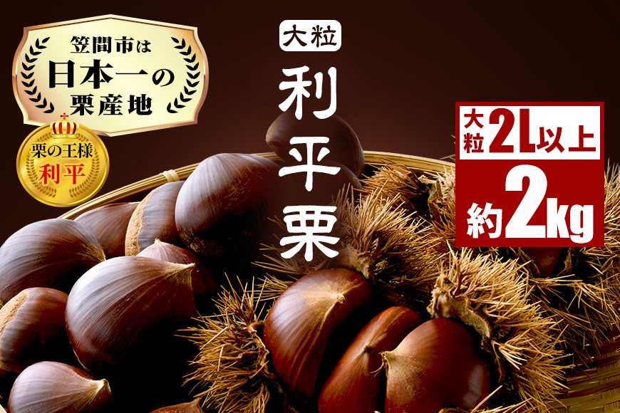 生栗 2kg 利平 栗 くり 国産 2L サイズ 以上 大きい 大粒 取り寄せ 笠間 茨城 和栗 甘栗 低温熟成 ギフト プレゼント 秋 旬 おやつ スイーツ 果物 フルーツ 栗ご飯 栗きんとん 栗おこわ 冷蔵 栗生産量 日本一 いばらき AH-006