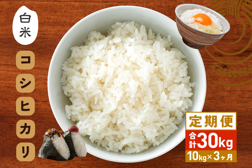 【3カ月定期便】 令和7年度 笠間産 コシヒカリ 10kg (10kg×3回 計30kg) 精米 定期便 米 白米 こめ コメ ご飯 ごはん 農家直送 産地直送 国産 茨城県 笠間市 青木商店 【6月末まで受付】