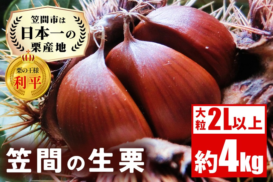 生栗 4kg 利平 栗 くり 国産 2L サイズ 以上 大きい 大粒 取り寄せ 笠間 茨城 和栗 甘栗 低温熟成 ギフト プレゼント 秋 旬 おやつ スイーツ 果物 フルーツ 栗ご飯 栗きんとん 栗おこわ 冷蔵 栗生産量 日本一 いばらき AH-013