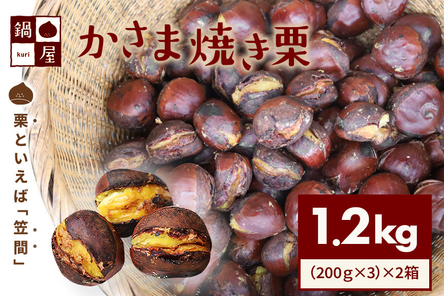 焼き栗 栗 1.2kg (2箱) 国産 個包装 くり 和栗 甘栗 冷凍 ギフト プレゼント 父の日 母の日 和栗 スイーツ 和栗 甘栗 栗きんとん モンブラン やきぐり 焼栗 鍋屋本店 先行予約 笠間 茨城県 いばらき BH-010