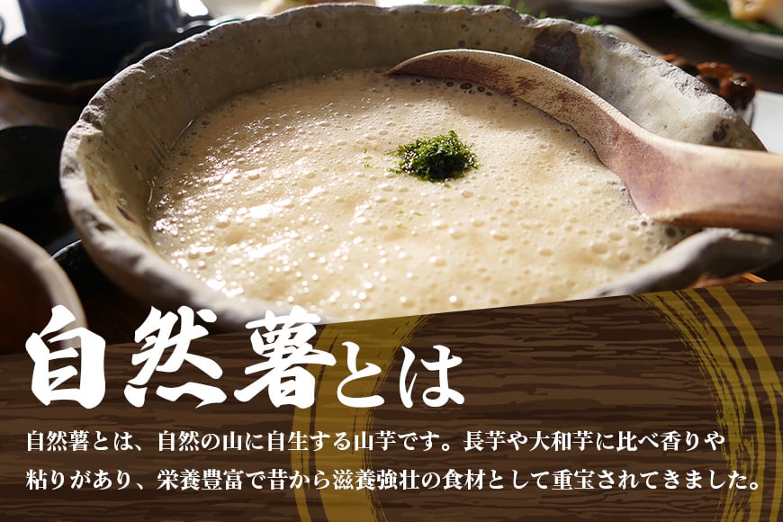 笠間自然薯研究会の自然薯カット ご家庭用 約800g 笠間自然薯研究会 自然薯 長芋 山芋 とろろ とろろご飯 野菜 ねばねば 健康食品 美容効果 笠間市産 茨城県産 栄養たっぷり ギフトに最適 新鮮 国内生産 高級根菜 美容 健康 美味しい 産地直送 滋養強壮 DG-004