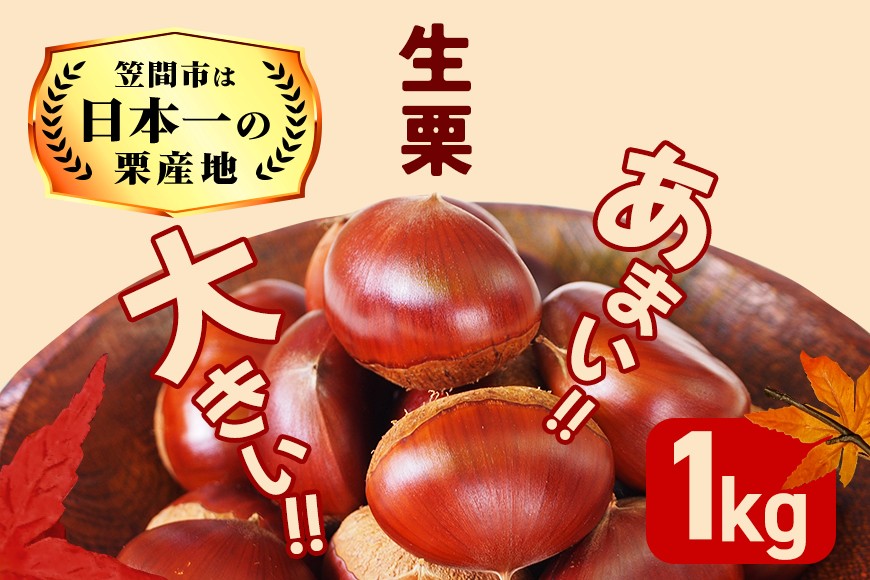 [2026年 秋 出荷]生栗 1kg×1袋 1kg 特大 サイズ 3L 以上 大粒 大きい 数量限定 くり クリ 笠間の栗 栗ごはん カサマロン 国産 先行予約 モンブラン 栗きんとん 冷蔵 笠間市 KA-002