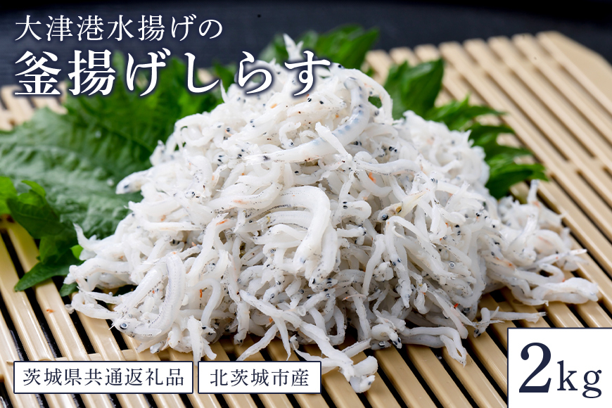 大津港水揚げの釜揚げしらす 2kg(茨城県共通返礼品・北茨城市産) HD-002