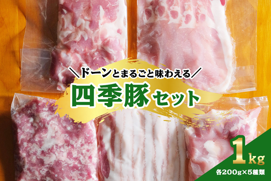 四季豚 ドーンとまるごと味わえる1kgセット IX-001