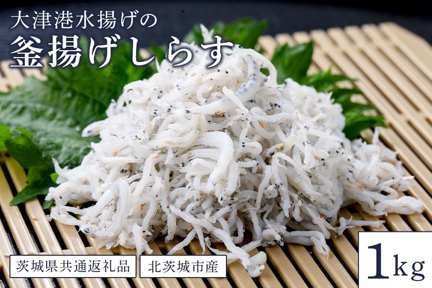 大津港水揚げの釜揚げしらす 1kg(茨城県共通返礼品・北茨城市産) HD-001