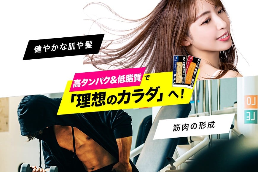 サラダチキン プロテインバー プロテイン 20本 スパイシータンドリー ささみ 肉 鶏肉 チキン タンパク質 高たんぱく 低脂質 ダイエット 筋肉 食品 持ち運び おやつ 置き換え PROFIT SASAMI 甘くない 丸善 国産 ささみプロテインバー 笠間市 茨城県 いばらき CZ-007