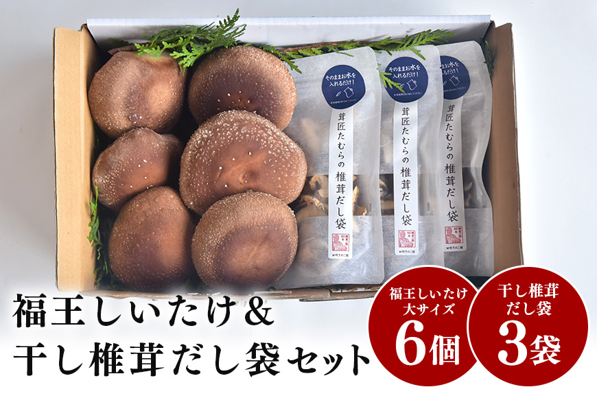 【先行販売/2026年10月末以降発送】福王しいたけ＆干し椎茸セット しいたけ 椎茸 きのこ キノコ 国産