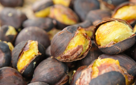 熟成させた「笠間の焼栗」愛樹マロン 超特選 1箱(300g×2パック) 焼栗 焼き栗 栗 国産 個包装 くり 和栗 ギフト プレゼント 秋 旬 おやつ スイーツ 果物 フルーツ 茨城県 笠間市 【7月5日まで受付・12月~7月順次発送予定】 AQ-020