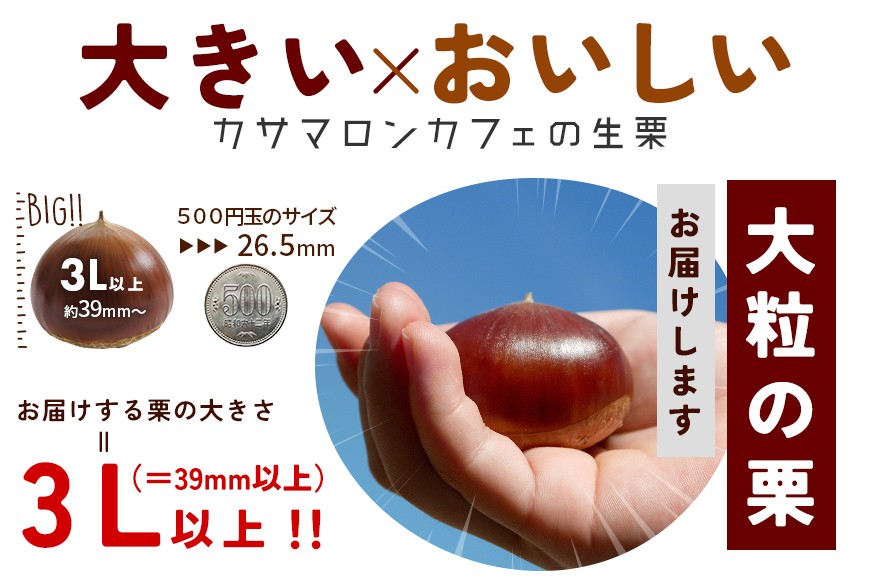 ã2026幎 ç§ åºè·ãçæ 1kgÃ1è¢ 1kg ç¹å€§ ãµã€ãº 3L ä»¥äž å€§ç² å€§ãã æ°ééå® ãã ã¯ãª ç¬ éã®æ æ ãã¯ã ã«ãµããã³ åœç£ å
è¡äºçŽ ã¢ã³ãã©ã³ æ ãããšã å·èµ ç¬ éåž KA-002