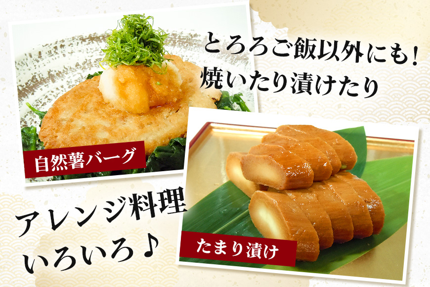 笠間自然薯研究会の自然薯カット ご家庭用 約800g 笠間自然薯研究会 自然薯 長芋 山芋 とろろ とろろご飯 野菜 ねばねば 健康食品 美容効果 笠間市産 茨城県産 栄養たっぷり ギフトに最適 新鮮 国内生産 高級根菜 美容 健康 美味しい 産地直送 滋養強壮 DG-004