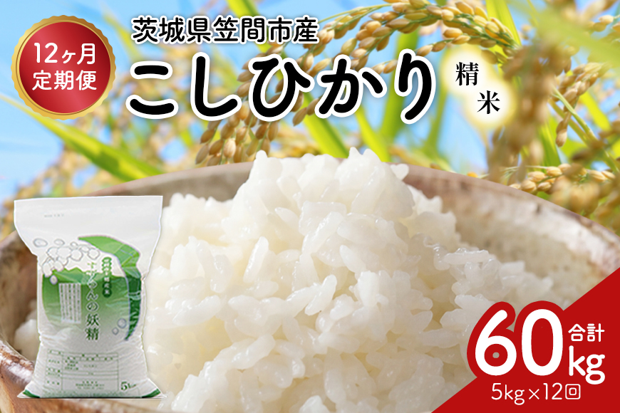 【12ヶ月定期便】令和7年度 殺虫剤・殺菌剤不使用｜こしひかり（5kg） 合計60kg 定期便 コシヒカリ 米 こしひかり 精米 ブランド米 お米 白米 5kg 国産 贈答 ギフト おにぎり 弁当 R7年産 ごはん おいしい 旨い ふっくら お米 茨城県 笠間市 いばらき