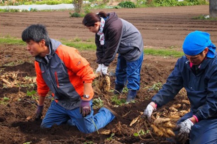 kamosã®æè(平干ã400gÃ3)çŽ
ã¯ãã 1.2kg å¹²ãè å¹²ããã åœç£ çŽ
ã¯ãã ã¹ã«ã¯ãã ãã€ãŸãã ãµããã€ã¢ 平干ã ãã〠ãèå åèå åã¹ã€ãŒã ã»ããã ã»ãè æããã ãã€ãšãã ã¹ã€ãŒã ç ç³äžäœ¿çš èšåç ç¬ éåž ãã°ãã <3/31ãŸã§åä»ã»1æããé æ¬¡çºéäºå®> BR-007