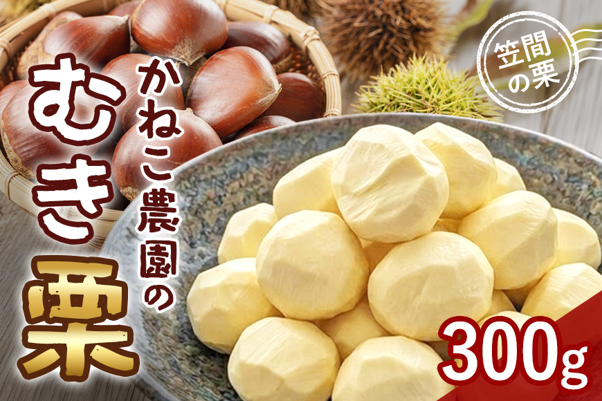 【2026年先行予約】 笠間の栗 かねこ農園のむき栗（300g×1パック） 数量限定 栗 くり クリ むき栗 国産 国産栗 和栗 果物 フルーツ ギフト プレゼント 秋 旬 おやつ 笠間 かさま 茨城県 いばらき