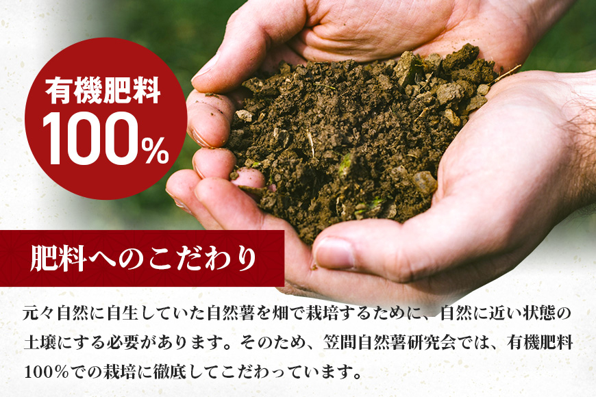 笠間自然薯研究会の自然薯カット ご家庭用 約800g 笠間自然薯研究会 自然薯 長芋 山芋 とろろ とろろご飯 野菜 ねばねば 健康食品 美容効果 笠間市産 茨城県産 栄養たっぷり ギフトに最適 新鮮 国内生産 高級根菜 美容 健康 美味しい 産地直送 滋養強壮 DG-004