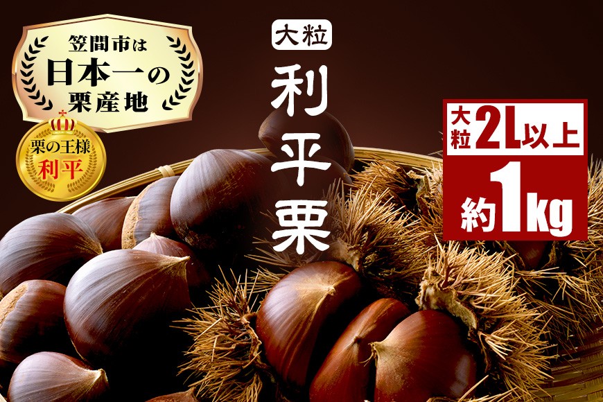 生栗 1kg 利平 栗 くり 国産 2L サイズ 以上 大きい 大粒 取り寄せ 笠間 茨城 和栗 甘栗 低温熟成 ギフト プレゼント 秋 旬 おやつ スイーツ 果物 フルーツ 栗ご飯 栗きんとん 栗おこわ 冷蔵 栗生産量 日本一 いばらき AH-012