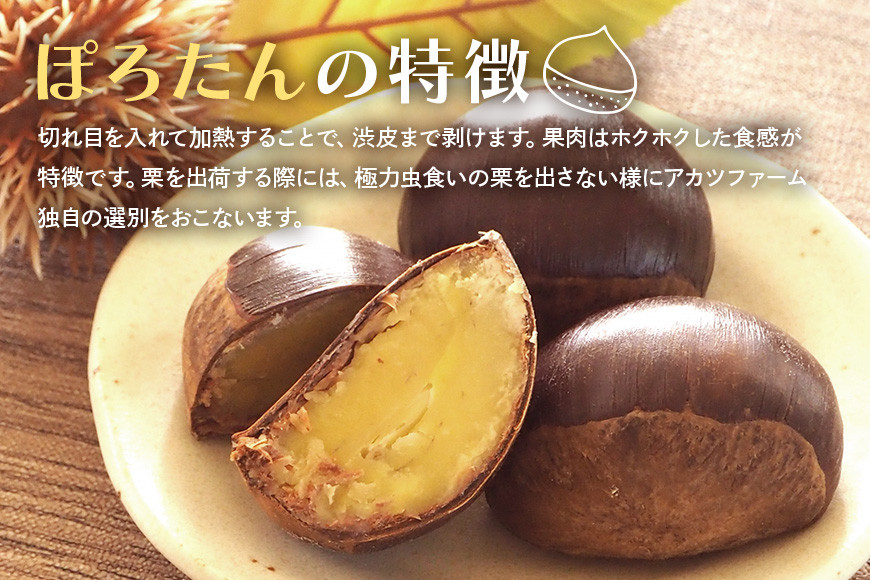 ã¢ã«ããã¡ãŒã ã® ãœããã( çæ ) ç¹å€§ 3Lãµã€ãº 2kg æ ç¬ é ãã ã¯ãª 倧ãã å€§ç² èšå åœç£ åœç£æ åæ çæ æ ã飯 æ ãããšã æ ããã çé²ç
® ããã³ ç§ æ¬ ãã〠ã¹ã€ãŒã ãããšã å·èµ ä¿åæäžäœ¿çš ç¡æ·»å ã®ãã èšåç ç¬ éåž GA-014