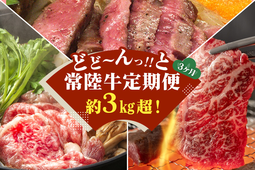 3ヵ月定期便 常陸牛どどーんっ!と定期便 総重量約3kg超え【茨城県共通返礼品】 GX-016