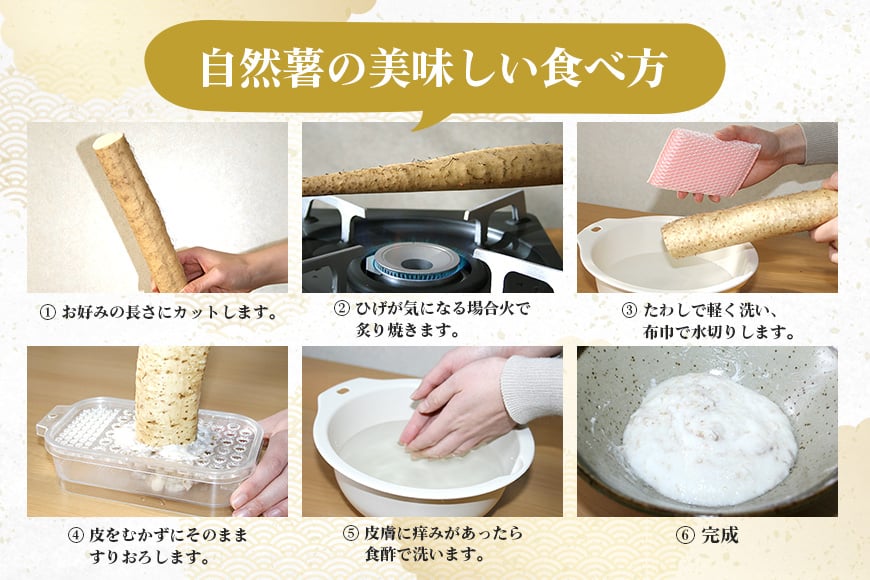 笠間自然薯研究会の自然薯カット ご家庭用 約800g 笠間自然薯研究会 自然薯 長芋 山芋 とろろ とろろご飯 野菜 ねばねば 健康食品 美容効果 笠間市産 茨城県産 栄養たっぷり ギフトに最適 新鮮 国内生産 高級根菜 美容 健康 美味しい 産地直送 滋養強壮 DG-004