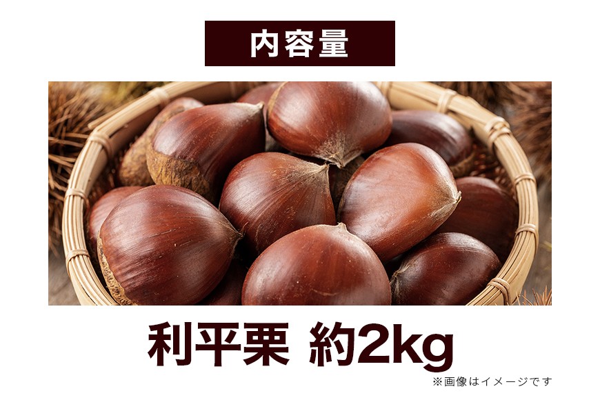 生栗 2kg 利平 栗 くり 国産 2L サイズ 以上 大きい 大粒 取り寄せ 笠間 茨城 和栗 甘栗 低温熟成 ギフト プレゼント 秋 旬 おやつ スイーツ 果物 フルーツ 栗ご飯 栗きんとん 栗おこわ 冷蔵 栗生産量 日本一 いばらき AH-006
