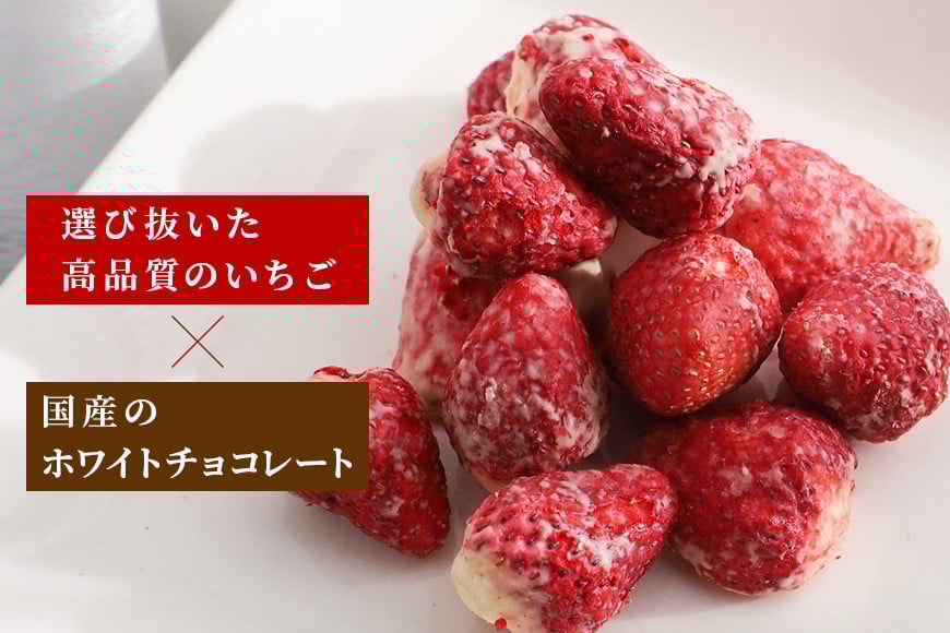 Chocolat de 縺九&縺セ 縺翫°縺励↑譫懷ョ溘す繝ァ繧ウ繝ゥ 螳檎溘→縺。縺翫→繧√ョ隧ー繧∝粋繧上○ BH-031