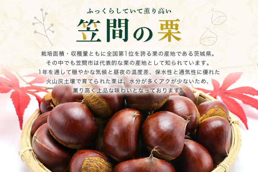 æ ããªã¥ã 2ç®±ã»ãã ãã§ã³ã¬ãŒã çãã§ã³ æ ãã ã¯ãª æ ã¹ã€ãŒã åœç£ ã®ãã ãã¬ãŒã³ã ããªã¥ã æŽé¢šç¬ éèåã°ãªã¥ã€ãšãŒã« ç¬ éåž ãã㟠èšåç ãã°ãã AB-004