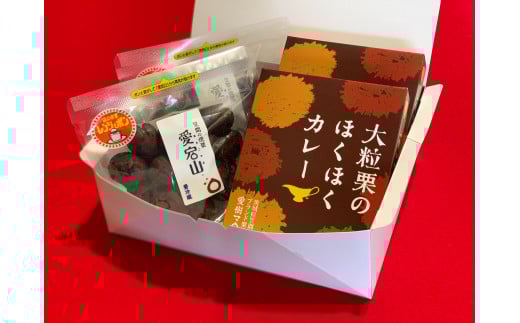 あいきマロン 焼栗・カレーセット 化粧箱入り 焼栗 焼き栗 栗 国産 個包装 くり 和栗 カレー レトルト ギフト プレゼント 秋 旬 おやつ スイーツ 果物 フルーツ 茨城県 笠間市 AQ-027