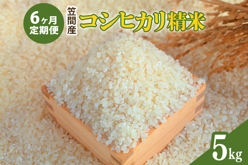 【6カ月定期便】 令和7年度 笠間産 コシヒカリ 5kg (5kg×6回 計30kg) 精米 お米 米 白米 ご飯 茨城県 CU-029