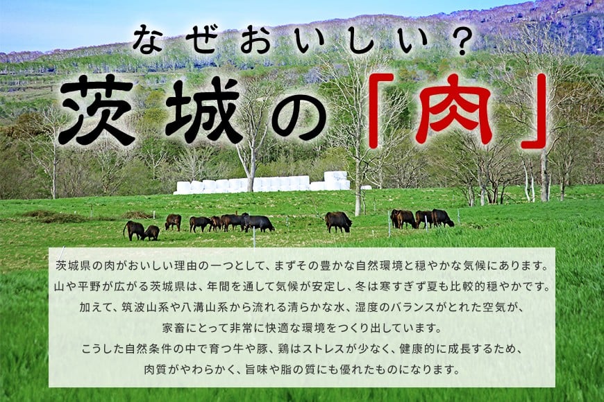 和牛 切り落とし 約 1kg 常陸牛 黒毛和牛 肉 牛肉 国産 A4 A5 牛丼 すき焼き すきやき 焼肉 ビーフカレー 肉うどん 肉じゃが しぐれ煮 ギフト プレゼント 笠間 茨城県 いばらき(茨城県共通返礼品) GX-017