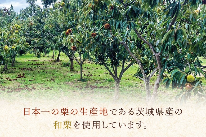 茨城県産 焼栗 12個セット 焼き栗 栗 国産 個包装 くり 和栗 甘栗 ギフト プレゼント 秋 旬 おやつ スイーツ 果物 フルーツ 電子レンジ レンジ調理 栗ご飯 栗ごはん 栗ジャム 栗きんとん モンブラン やきぐり 幸田商店 先行予約 笠間 茨城 いばらき KG-002