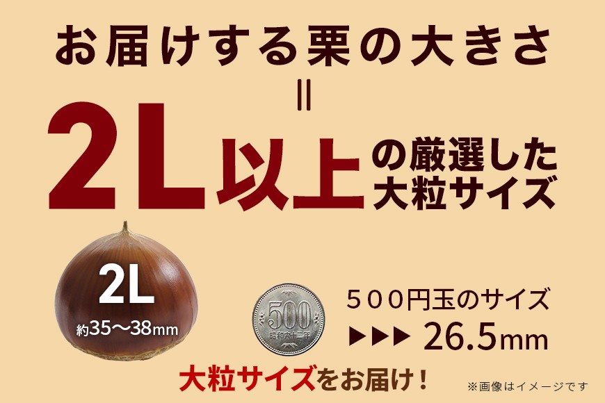 生栗 2kg 利平 栗 くり 国産 2L サイズ 以上 大きい 大粒 取り寄せ 笠間 茨城 和栗 甘栗 低温熟成 ギフト プレゼント 秋 旬 おやつ スイーツ 果物 フルーツ 栗ご飯 栗きんとん 栗おこわ 冷蔵 栗生産量 日本一 いばらき AH-006
