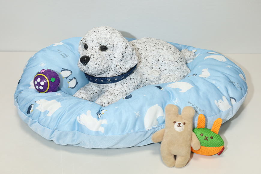 ãçš²ç°ç³ãäœ¿çš ãªãŒããŒã¡ã€ãç¬ã®ç³å JX-001