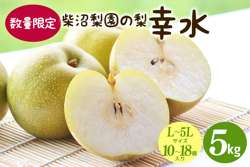 【先行予約/8月中旬から発送】 柴沼梨園の梨 （ 幸水 ） 梨 5kg 10～18個入り L～5Lサイズ ナシ なし 国産 茨城 秋 旬 フルーツ 果物 数量限定 先行予約 旬の果物 くだもの サイズ 品種 幸水梨 産地 茨城県 くだもの ジューシー 果肉 酸味 ギフト 贈答用 家庭用