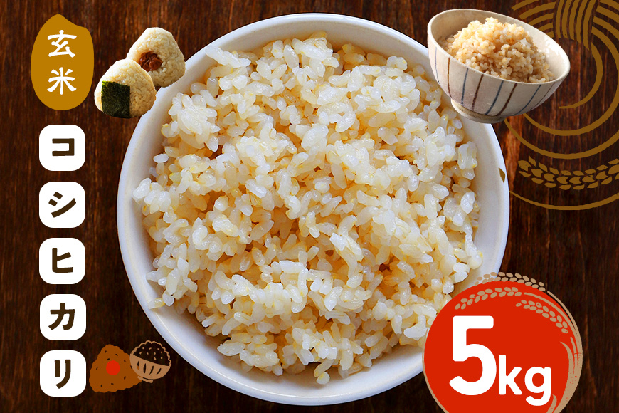 令和7年度 笠間市産 コシヒカリ 5kg 玄米 米 げんまい こめ コメ ご飯 ごはん 農家直送 産地直送 国産 茨城県 笠間市 青木商店 【8月末まで受付】