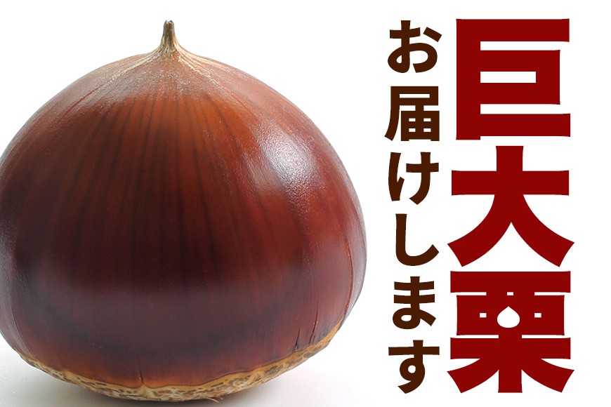çæ 1kg ç¹å€§ 3Lãµã€ãº æ ãã åœç£ åœç£æ åæ ã®ãã ãã¬ãŒã³ã ç¹å€§ 倧ãã å€§ç² ã¡ã¬ããã³ ç§ æ¬ ãã〠ã¹ã€ãŒã æç© ãã«ãŒã çŒãæ æ ã飯 æ ãããšã æ ããã æ ã¢ã«ããã¡ãŒã çç£é æ¥æ¬äž ç¬ éåž èšåç ãã°ãã GA-002