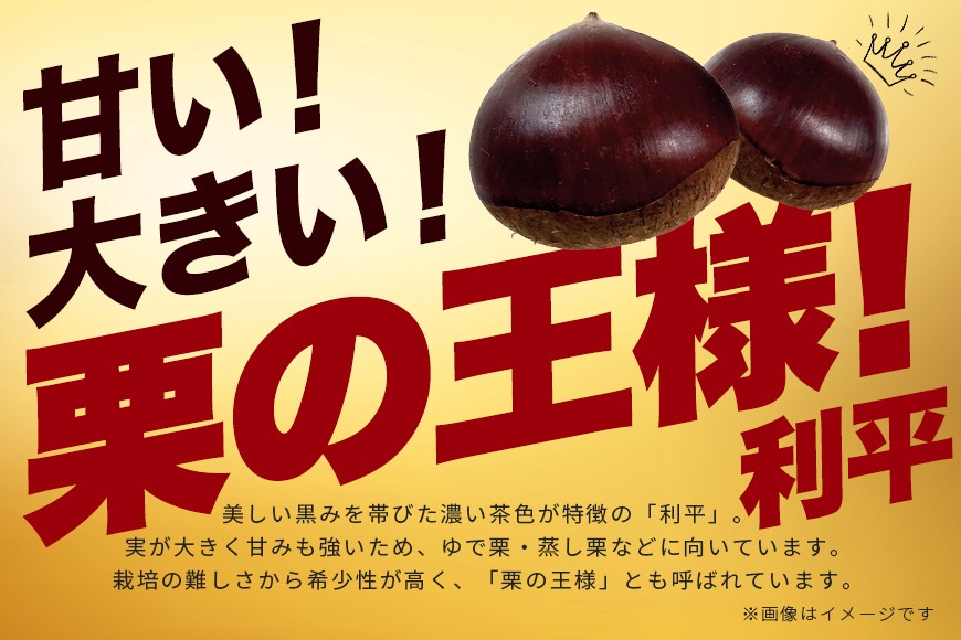 生栗 2kg 利平 栗 くり 国産 2L サイズ 以上 大きい 大粒 取り寄せ 笠間 茨城 和栗 甘栗 低温熟成 ギフト プレゼント 秋 旬 おやつ スイーツ 果物 フルーツ 栗ご飯 栗きんとん 栗おこわ 冷蔵 栗生産量 日本一 いばらき AH-006