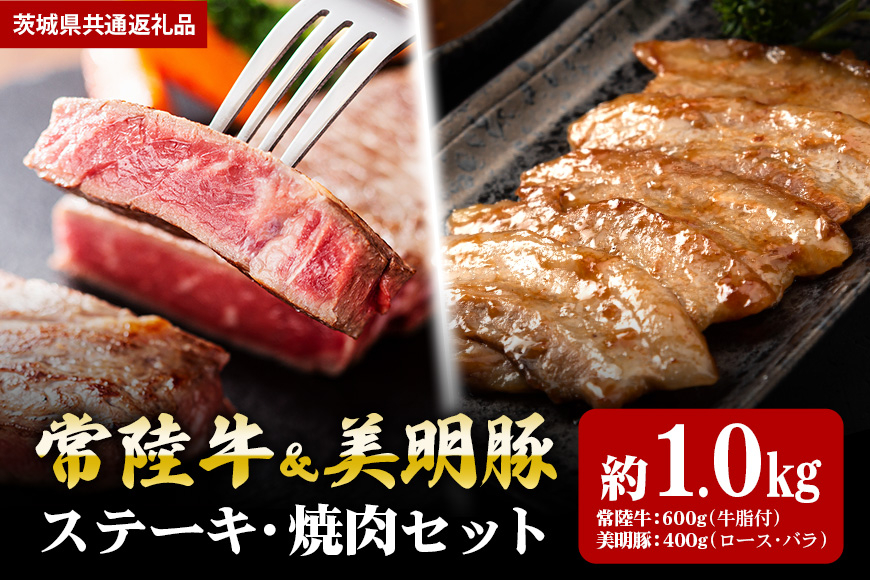 【ステーキ焼肉セット】常陸牛ステーキ600g・美明豚焼肉用400g(茨城県共通返礼品) II-040