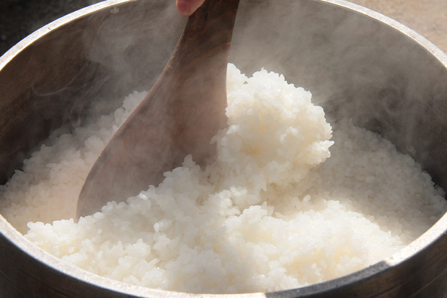 令和7年度 極上ランク 蛍の里のこしひかり 白米10kg(5kg×2袋) 黒米300g セット コシヒカリ 米 こしひかり 精米 ブランド米 お米 白米 10kg 黒米 300g 国産 贈答 ギフト おにぎり 弁当 R7年産 ごはん おいしい 旨い ふっくら お米 茨城県 笠間市 いばらき BF-010