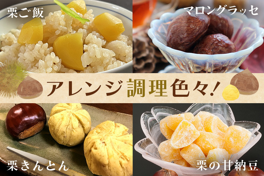 ã¢ã«ããã¡ãŒã ã® ãœããã( çæ ) ç¹å€§ 3Lãµã€ãº 2kg æ ç¬ é ãã ã¯ãª 倧ãã å€§ç² èšå åœç£ åœç£æ åæ çæ æ ã飯 æ ãããšã æ ããã çé²ç
® ããã³ ç§ æ¬ ãã〠ã¹ã€ãŒã ãããšã å·èµ ä¿åæäžäœ¿çš ç¡æ·»å ã®ãã èšåç ç¬ éåž GA-014
