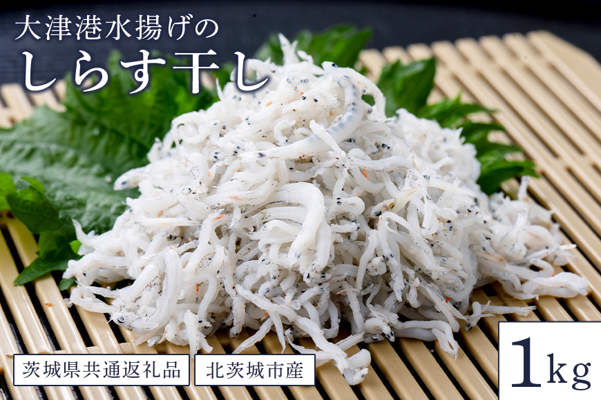 大津港水揚げのしらす干し 1kg(茨城県共通返礼品・北茨城市産) HD-003