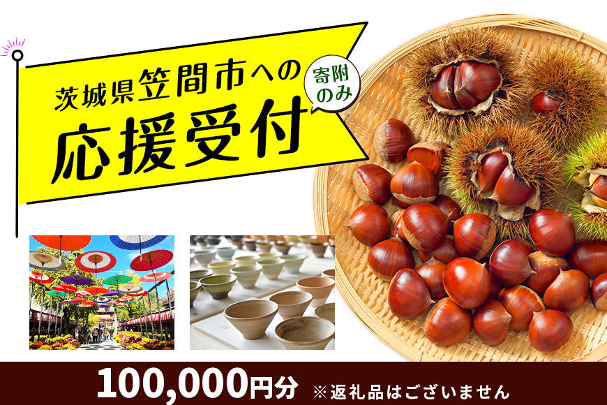 【返礼品なし】茨城県笠間市応援寄附 100,000円