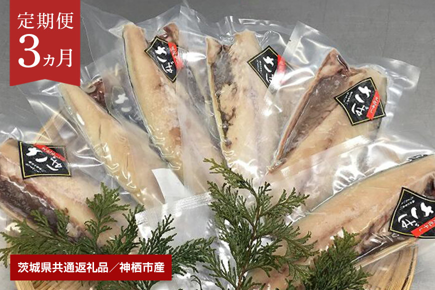 大トロさば文化干し 6枚【3ヶ月定期便】(茨城県共通返礼品・神栖市産) GN-002