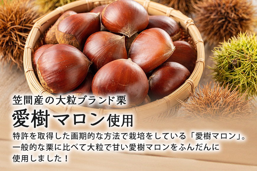 大粒栗のほくほくカレー 4箱 栗 国産 カレー レトルト 大粒 くり 和栗 ブランド栗 愛樹マロン使用 ギフト プレゼント 茨城県 笠間市 AQ-016