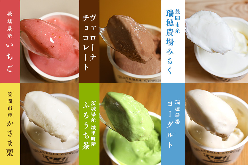 笠間市 ジェラート 6種詰め合わせ 12個セット 道の駅かさま JQ-002