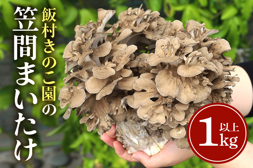 飯村きのこ園の笠間まいたけ(1kg以上) CM-001
